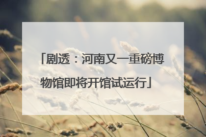 剧透：河南又一重磅博物馆即将开馆试运行