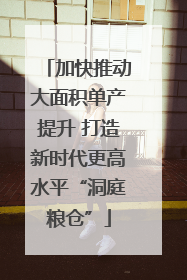 加快推动大面积单产提升 打造新时代更高水平“洞庭粮仓”