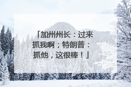 加州州长：过来抓我啊；特朗普：抓他，这很棒！
