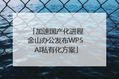 加速国产化进程 金山办公发布WPS AI私有化方案