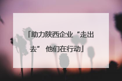 助力陕西企业“走出去” 他们在行动