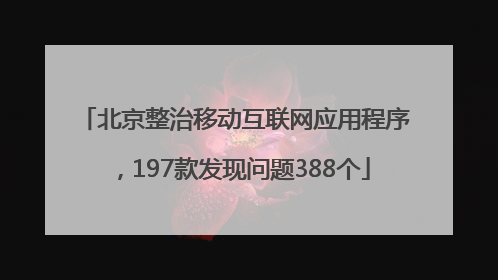北京整治移动互联网应用程序，197款发现问题388个