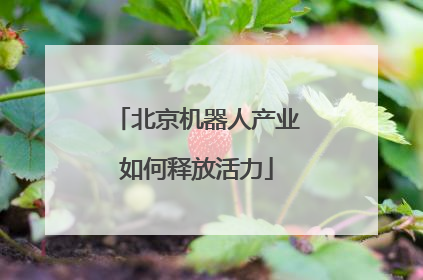 北京机器人产业如何释放活力