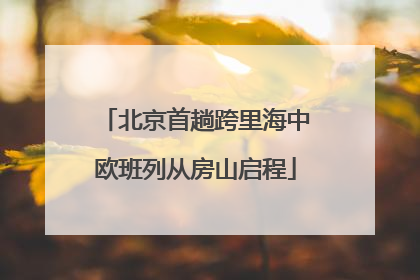 北京首趟跨里海中欧班列从房山启程