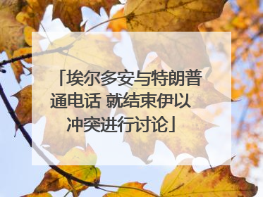 埃尔多安与特朗普通电话 就结束伊以冲突进行讨论