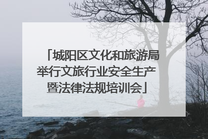城阳区文化和旅游局举行文旅行业安全生产暨法律法规培训会