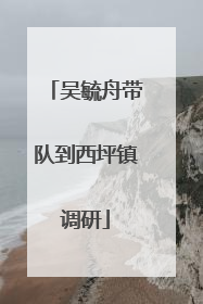 吴毓舟带队到西坪镇调研