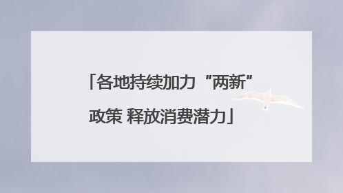 各地持续加力“两新”政策 释放消费潜力