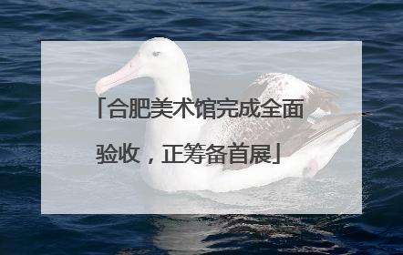 合肥美术馆完成全面验收，正筹备首展