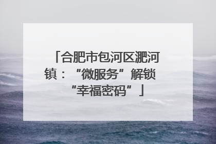 合肥市包河区淝河镇：“微服务”解锁“幸福密码”