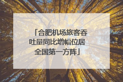 合肥机场旅客吞吐量同比增幅位居全国第一方阵