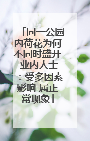同一公园内荷花为何不同时盛开 业内人士：受多因素影响 属正常现象