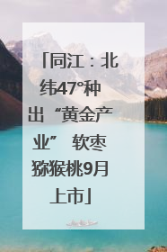 同江：北纬47°种出“黄金产业” 软枣猕猴桃9月上市