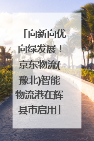 向新向优向绿发展！京东物流(豫北)智能物流港在辉县市启用