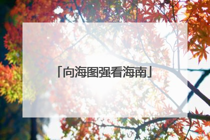 向海图强看海南