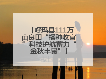 呼玛县111万亩良田“播种收官”科技护航蓄力“金秋丰景”