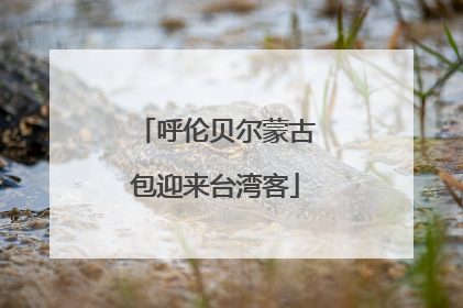 呼伦贝尔蒙古包迎来台湾客