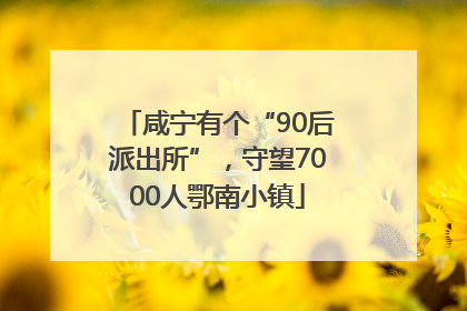 咸宁有个“90后派出所”，守望7000人鄂南小镇