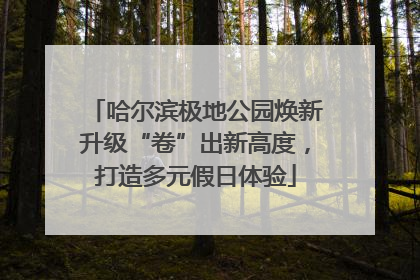 哈尔滨极地公园焕新升级“卷”出新高度，打造多元假日体验