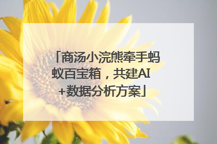 商汤小浣熊牵手蚂蚁百宝箱，共建AI+数据分析方案