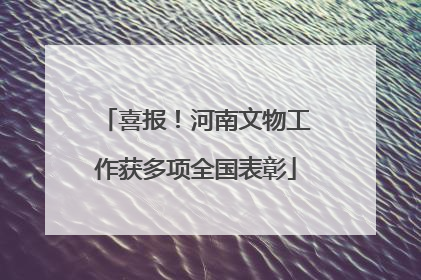 喜报！河南文物工作获多项全国表彰