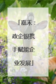 嘉禾：政企银携手赋能企业发展
