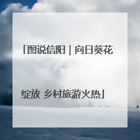 图说信阳｜向日葵花绽放 乡村旅游火热
