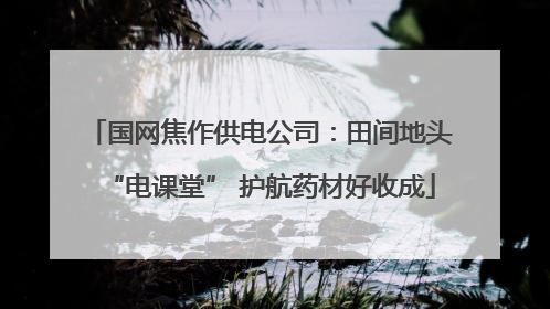 国网焦作供电公司：田间地头“电课堂” 护航药材好收成