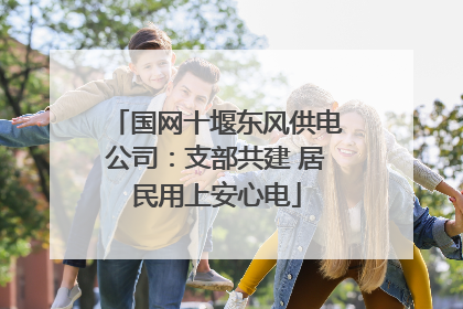 国网十堰东风供电公司：支部共建 居民用上安心电