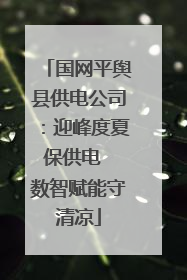 国网平舆县供电公司：迎峰度夏保供电  数智赋能守清凉