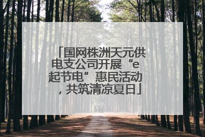 国网株洲天元供电支公司开展“e起节电”惠民活动，共筑清凉夏日