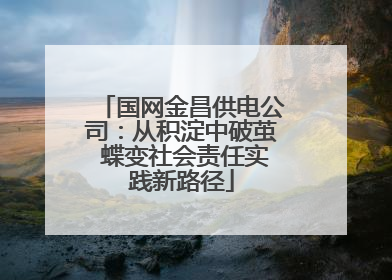 国网金昌供电公司：从积淀中破茧 蝶变社会责任实践新路径