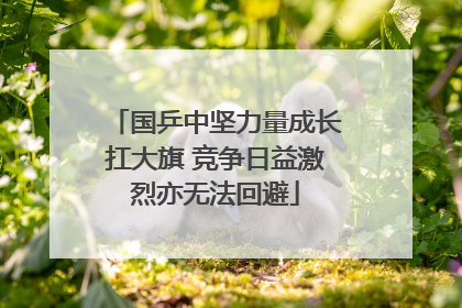 国乒中坚力量成长扛大旗 竞争日益激烈亦无法回避