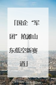 国企“军团”抢滩山东低空新赛道