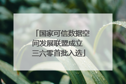 国家可信数据空间发展联盟成立 三六零首批入选