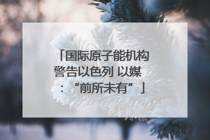 国际原子能机构警告以色列 以媒：“前所未有”