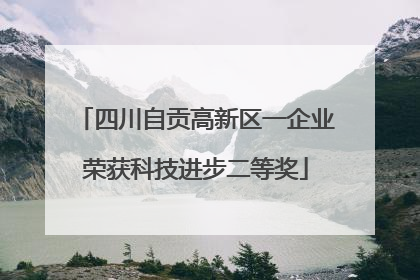 四川自贡高新区一企业荣获科技进步二等奖