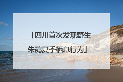 四川首次发现野生朱鹮夏季栖息行为