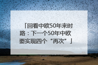 回看中欧50年来时路：下一个50年中欧要实现四个“再次”
