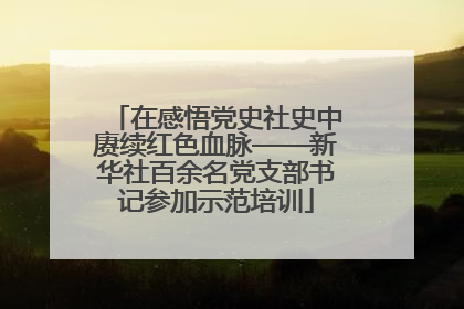 在感悟党史社史中赓续红色血脉——新华社百余名党支部书记参加示范培训
