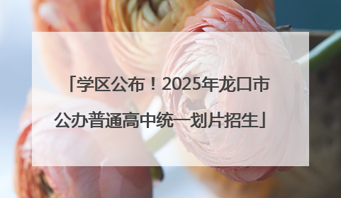 学区公布！2025年龙口市公办普通高中统一划片招生