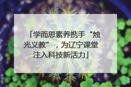 学而思素养携手“烛光义教”，为辽宁课堂注入科技新活力