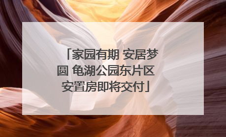 家园有期 安居梦圆 龟湖公园东片区安置房即将交付