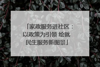 家政服务进社区：以政策为引领 绘就民生服务新图景