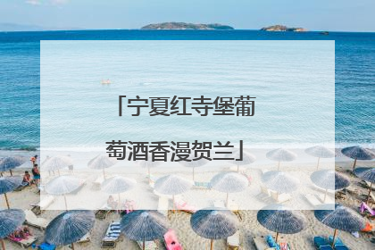 宁夏红寺堡葡萄酒香漫贺兰