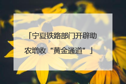 宁夏铁路部门开辟助农增收“黄金通道”