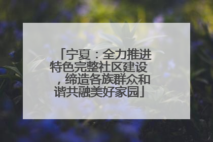 宁夏：全力推进特色完整社区建设，缔造各族群众和谐共融美好家园