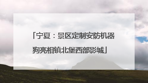 宁夏：景区定制安防机器狗亮相镇北堡西部影城