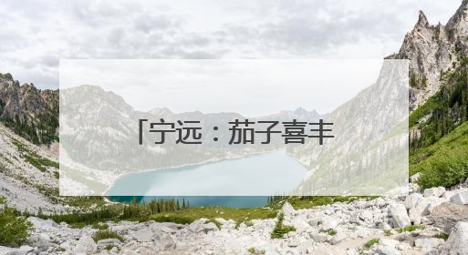 宁远：茄子喜丰收 产业促振兴