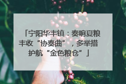 宁阳华丰镇：奏响夏粮丰收“协奏曲”，多举措护航“金色粮仓”